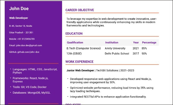 Professional Resume